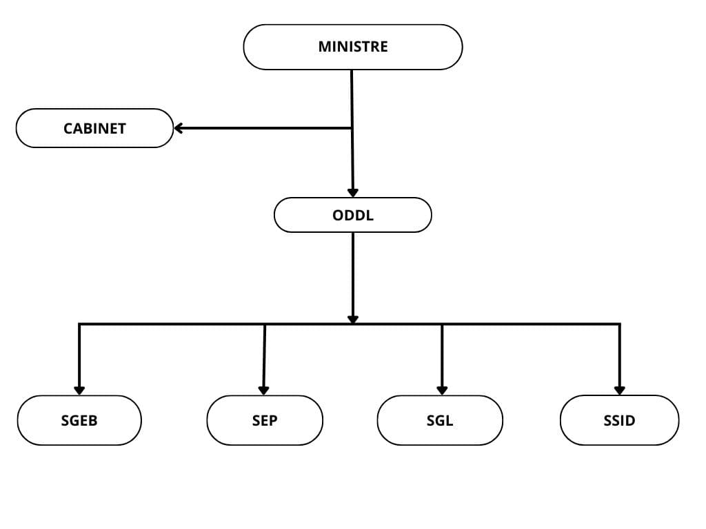 Organigramme de l'ODDL
